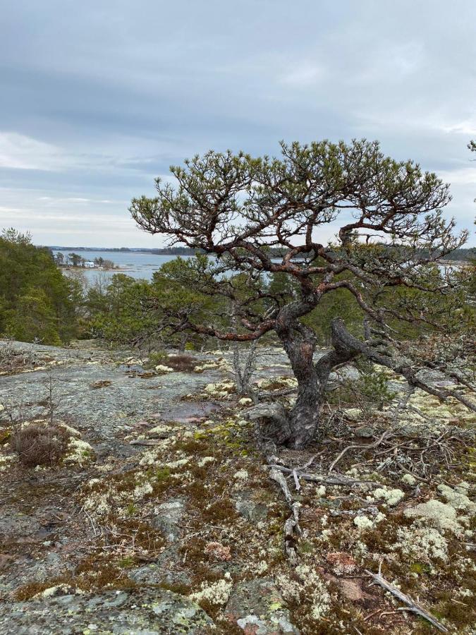 Roervik Hébergement de vacances *